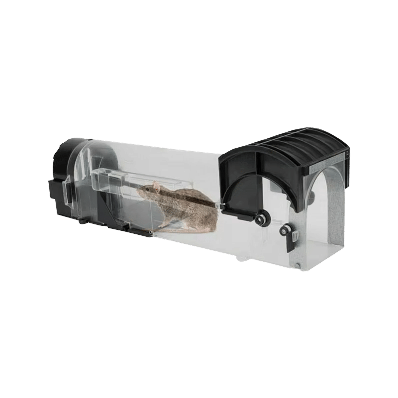 5 Best Mouse Traps: Smart Solutions for Effective Pest Control