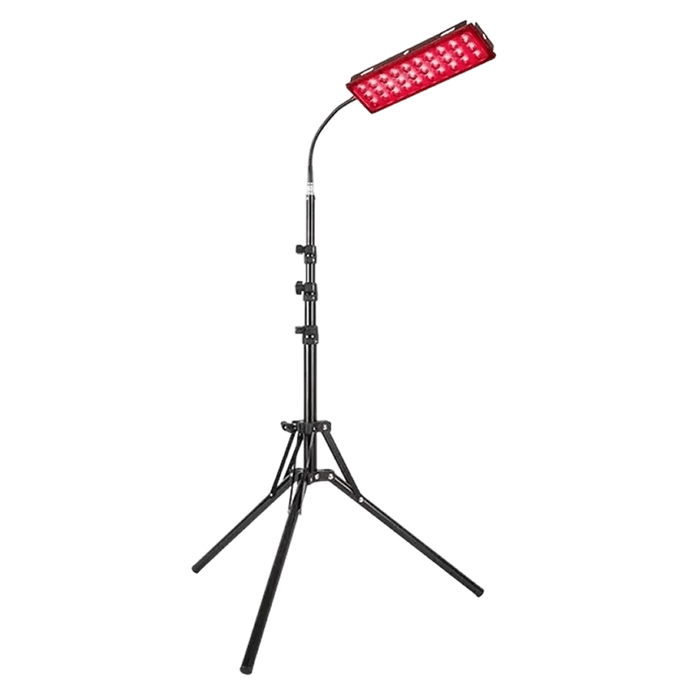 Best 5 Red Light Therapy Lamps for Home Healing
