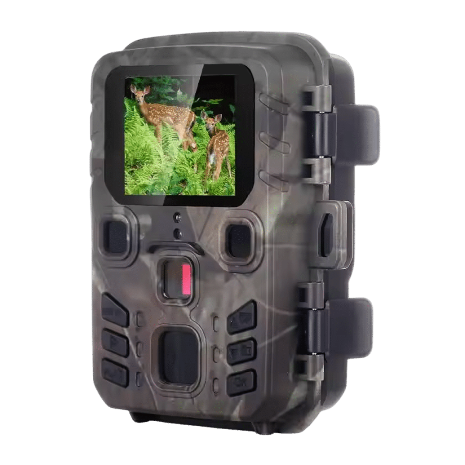 Best 5 Wildlife Cameras: Top Trail Cameras for Outdoor Enthusiasts