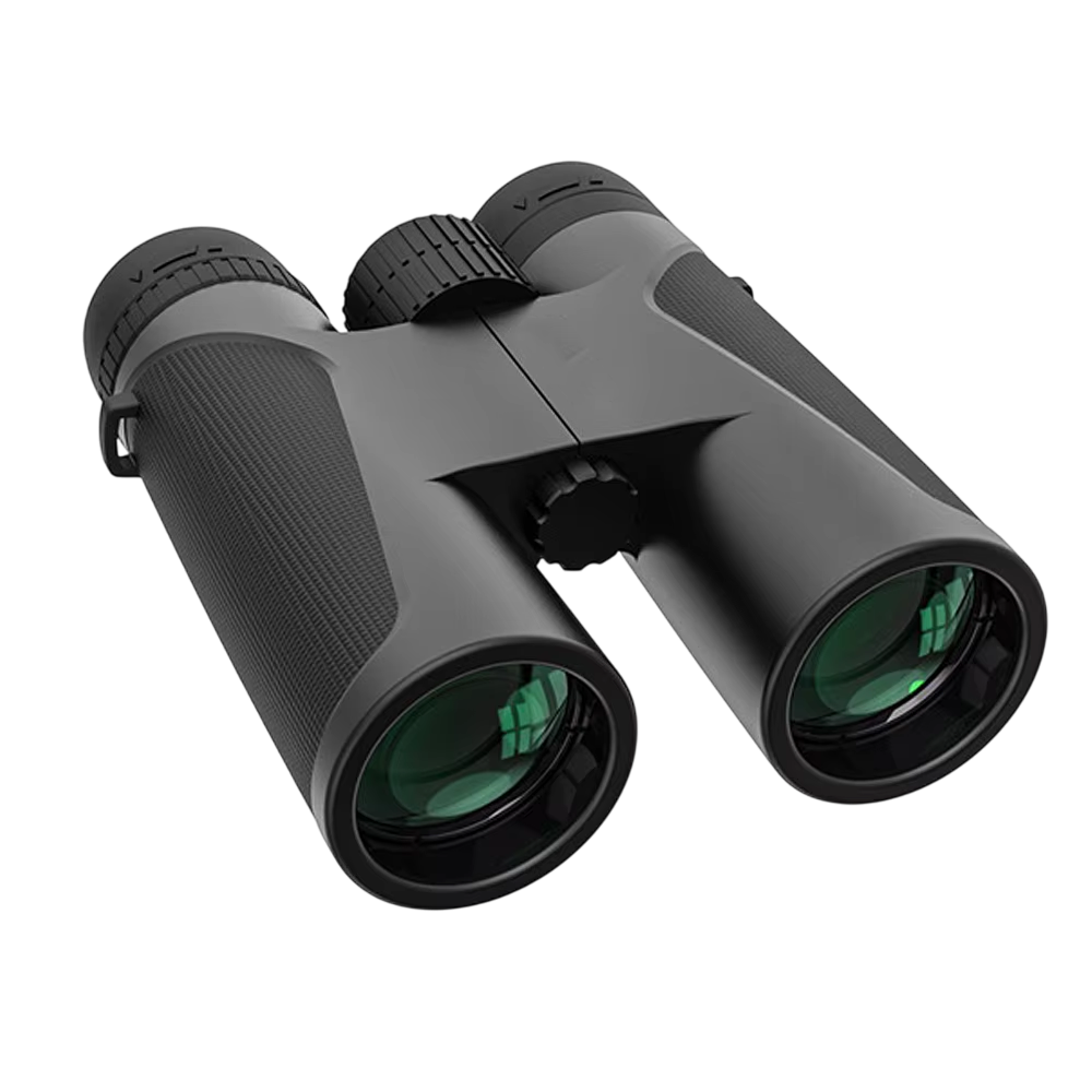 Best 5 Binoculars for Bird Watching: Outstanding Models That Transform Your Bird Watching Experience