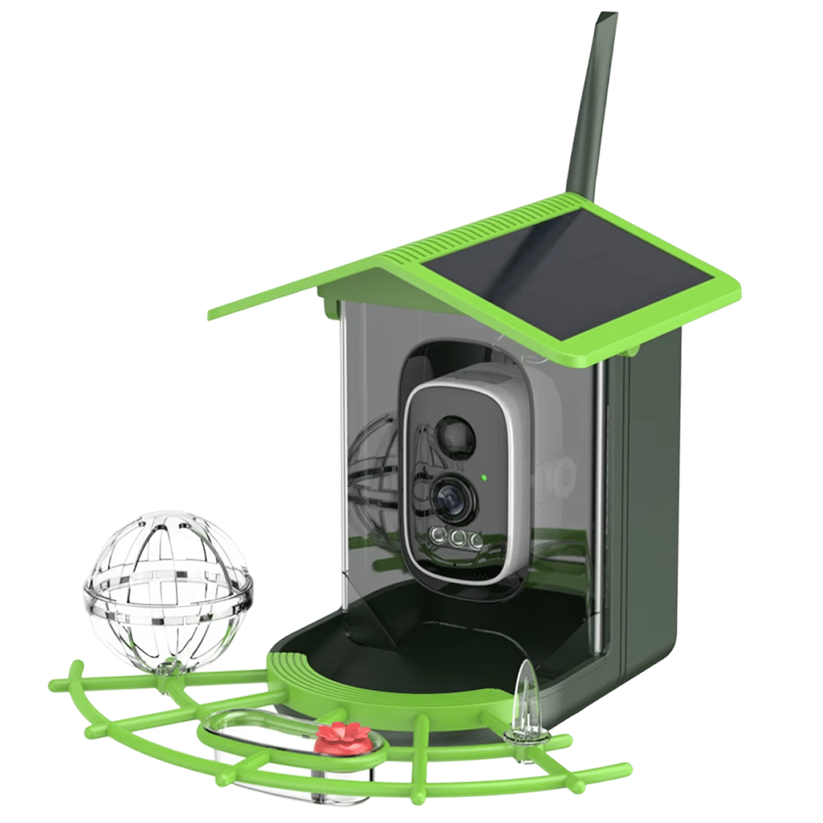 Best 5 Bird Feeder Cameras: Monitor Your Feathered Visitors From Anywhere