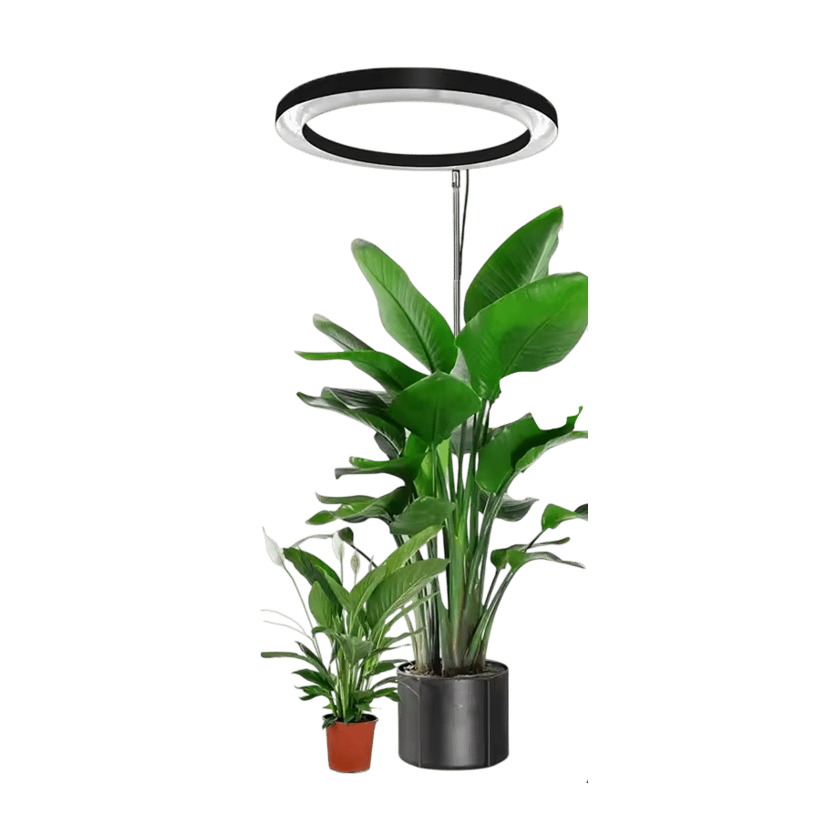 Best 5 Indoor Grow Lights For Plants of 2025: Transform Your Indoor Garden with Professional-Grade Illumination